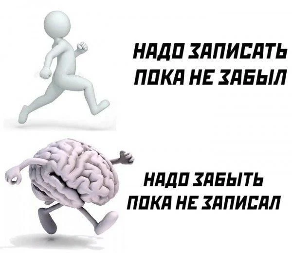 Память - это способность мозга сохранять, накапливать и воспроизводить информацию.