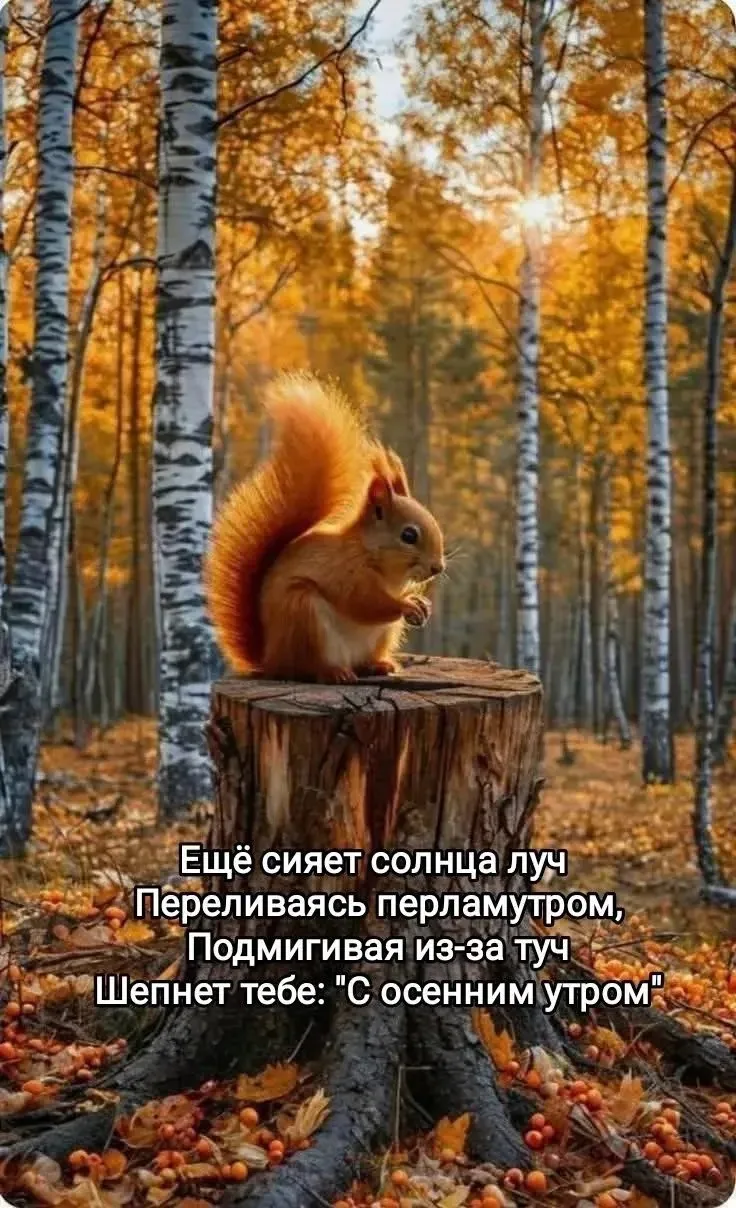 ☕ Доброе утро, друзья! Воскресенье — день баланса: ещё можно лениво потягиваться под од...