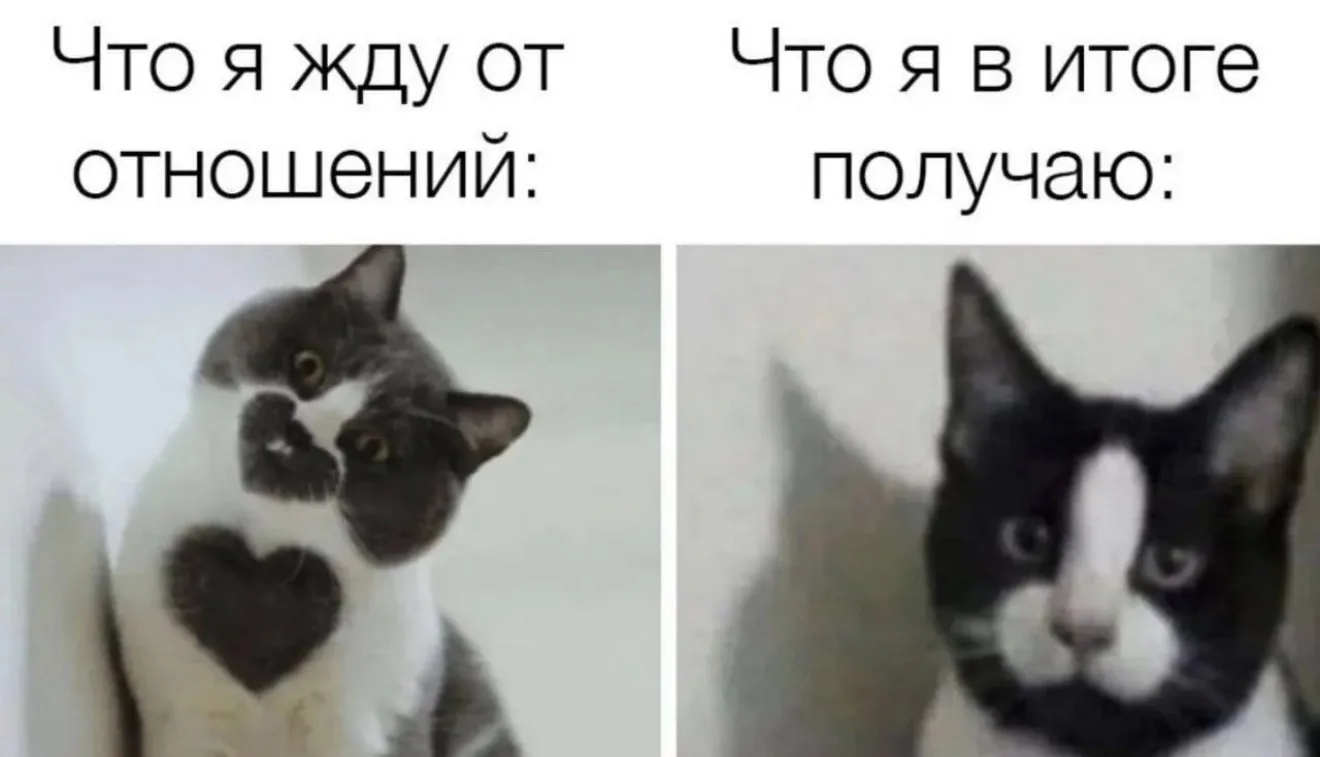 В принципе правда)