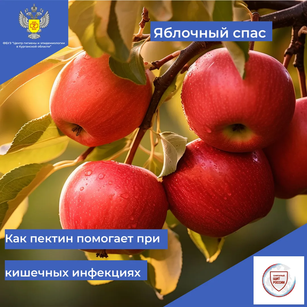19 августа в народном календаре — особенный день, известный как Яблочный Спас. Этот пра...
