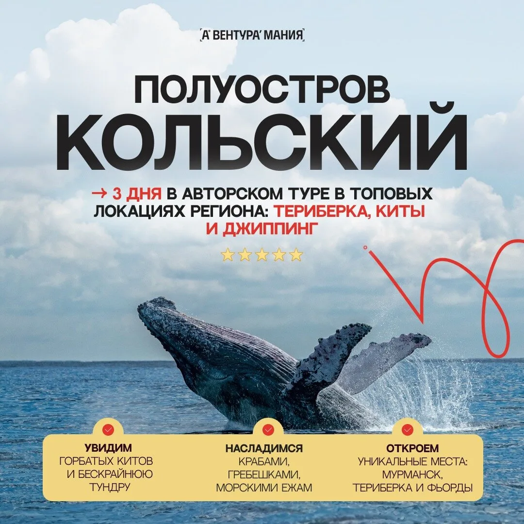 Увидеть китов в Баренцевом море — едем на Кольский