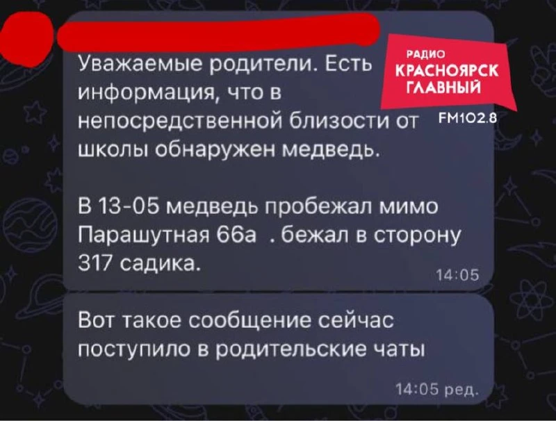😨 Красноярцы сообщают о медведе на правом берегу.