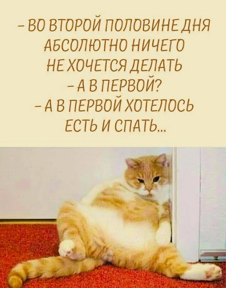 #юмор
Картинки на каждый день