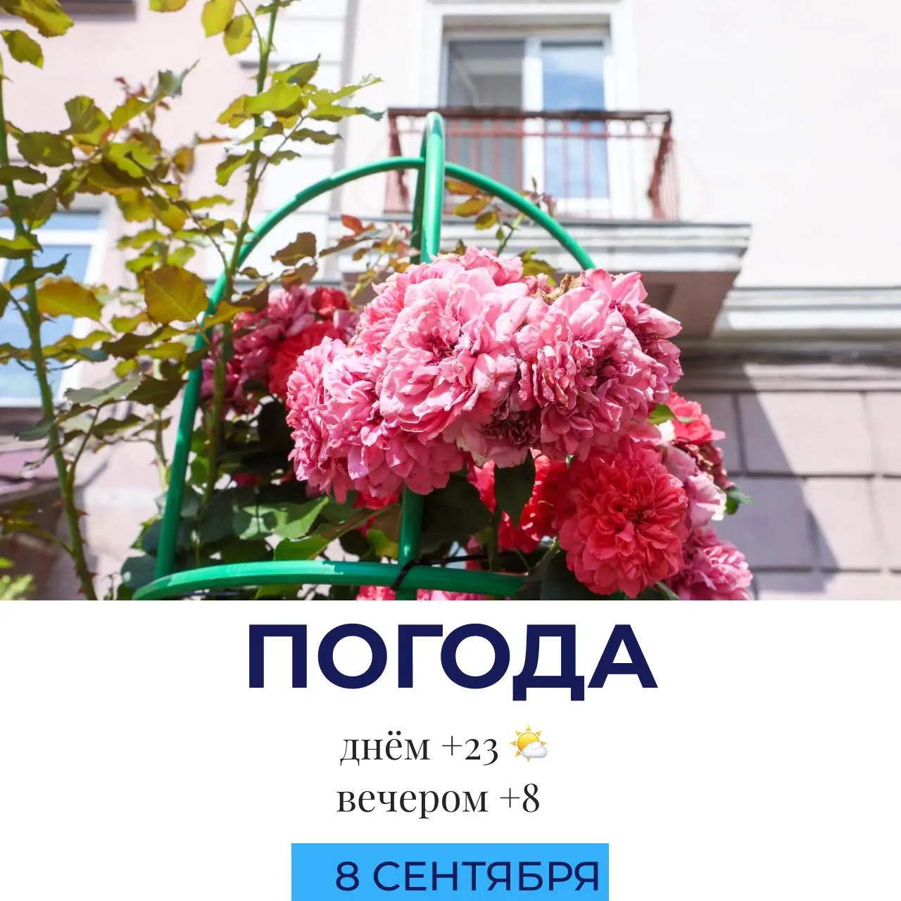 🌤 Погода сегодня
