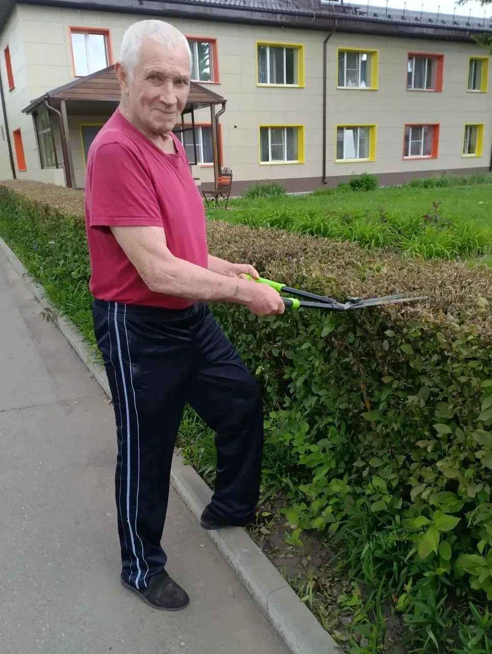 🌿 Сегодня мы провели комплекс работ по уходу за кустарниковыми насаждениями!