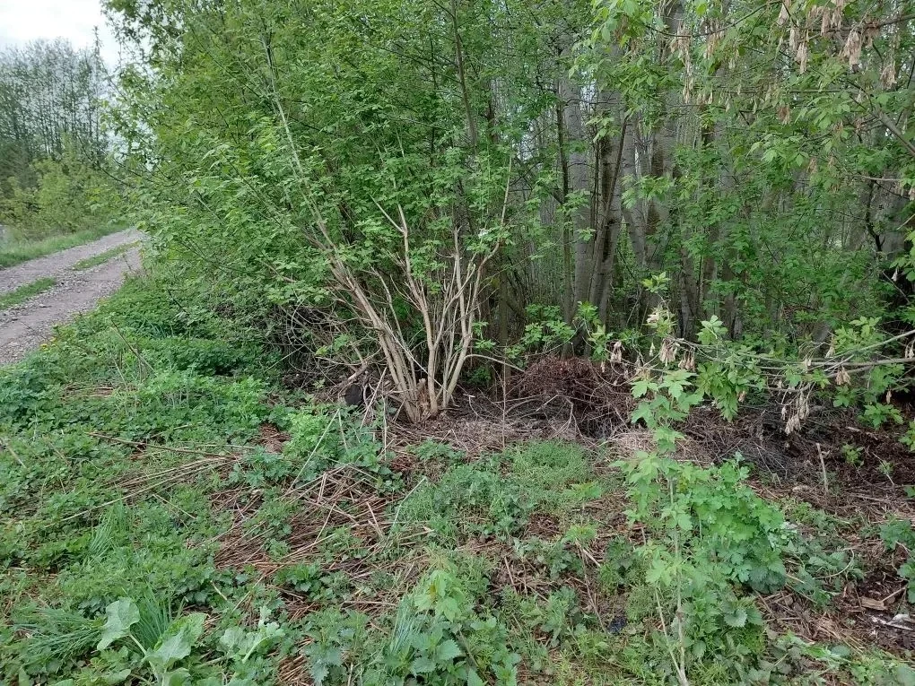 🍃 Наводим порядок вместе   В районе продолжается плановая уборка территорий. В приоритете – уборка з