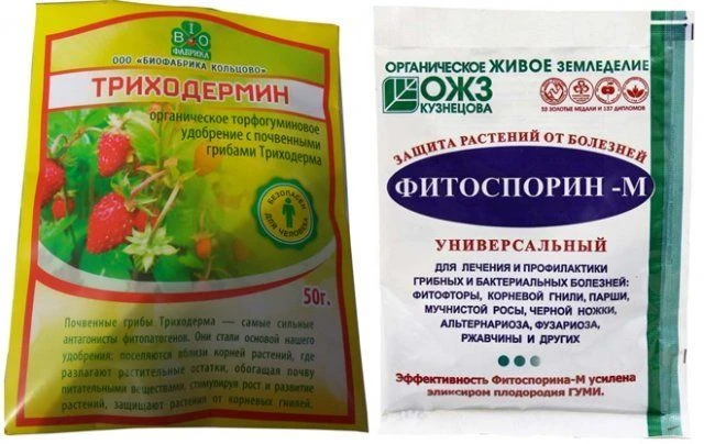 Фитоспорин-М и Триходерма — это одно и тоже?