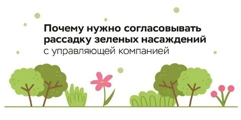 Почему нельзя просто так сажать деревья и кусты во дворе?

Желание сделать двор зеленее и уютнее — э