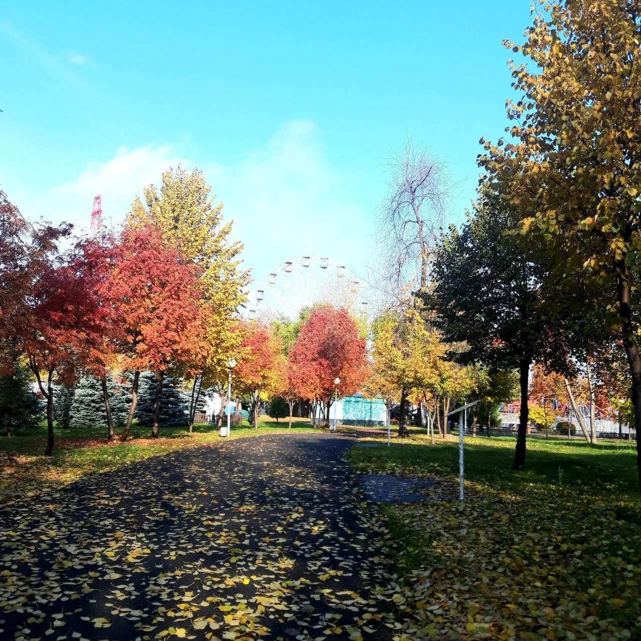 Осень вступает в свои права в Кемерове. 🍂