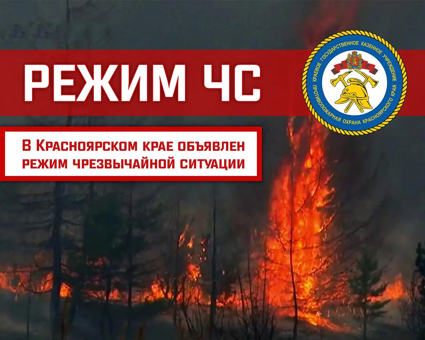 В Красноярском крае введён режим чрезвычайной ситуации в лесах

 Правительство Красноярского края вв