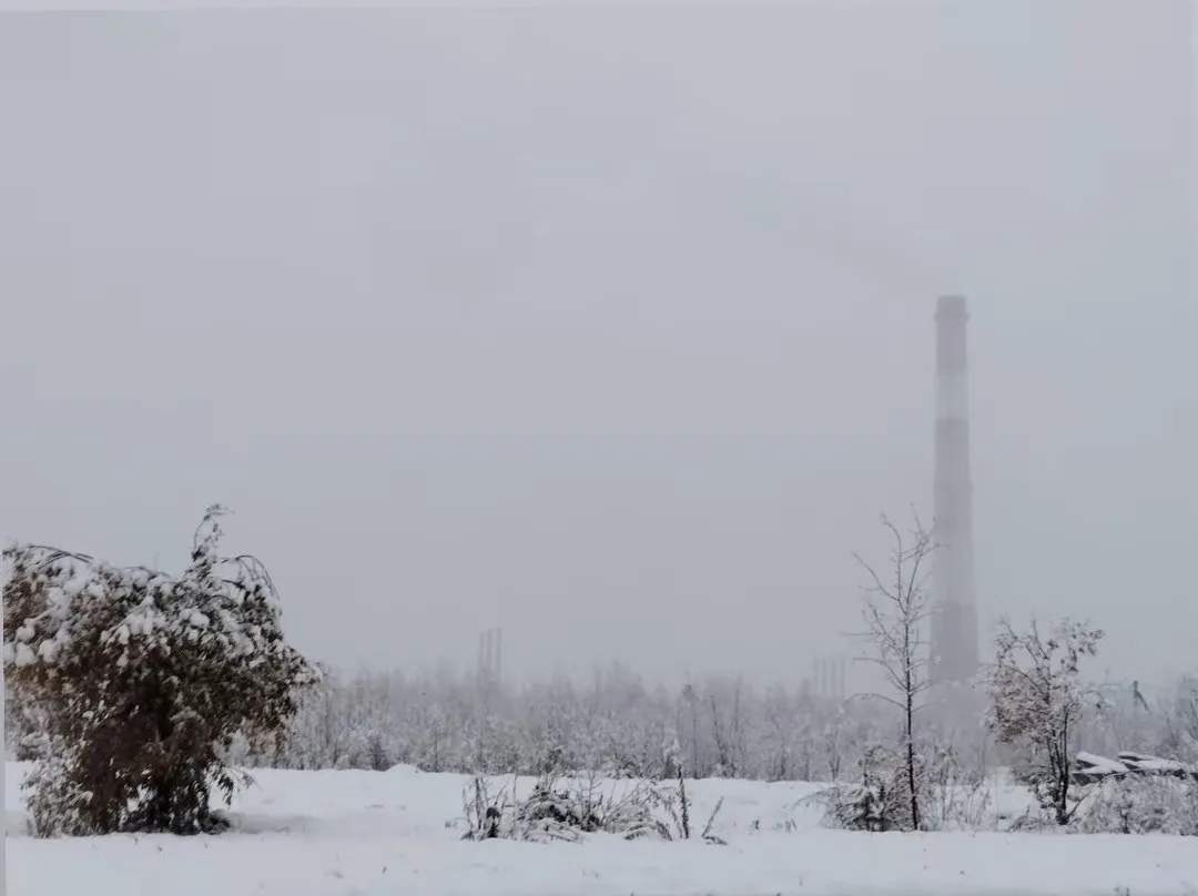 Вот такая красота, фоткали рядом с кинотеатром