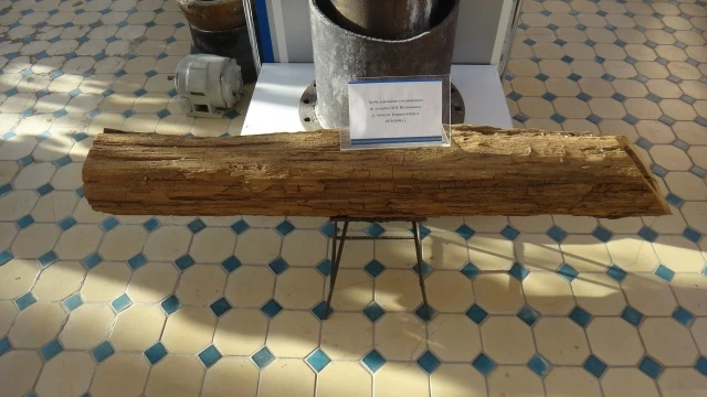 📍Сегодня отмечается День музеев  Ежегодно, начиная с 1977 года, 18-го мая в мире отмечается День муз