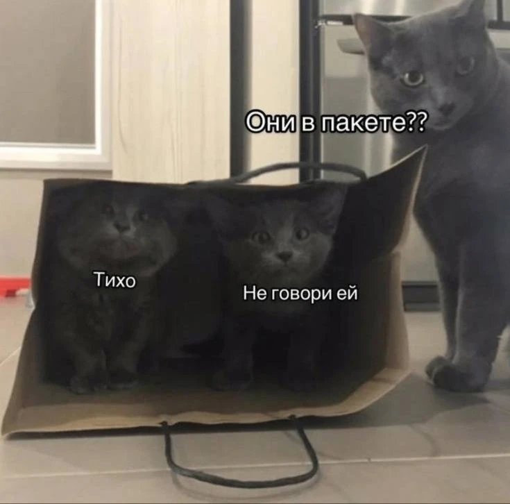 😁😱