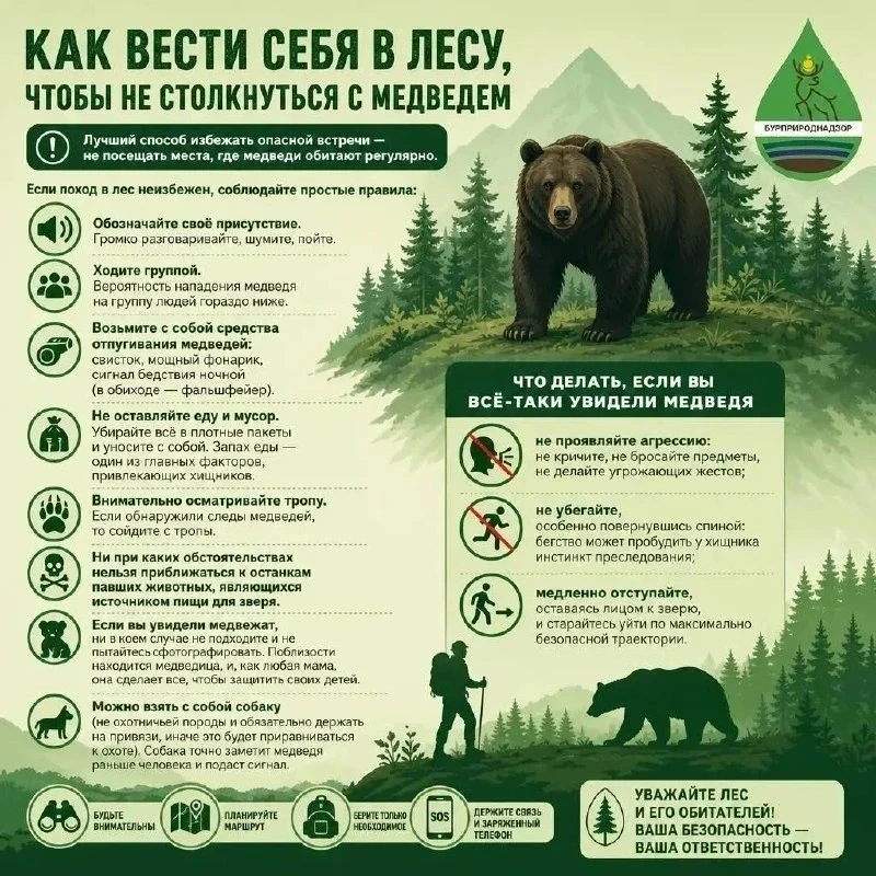 При обнаружении медведя или его следов сразу звоните: 112 или 102