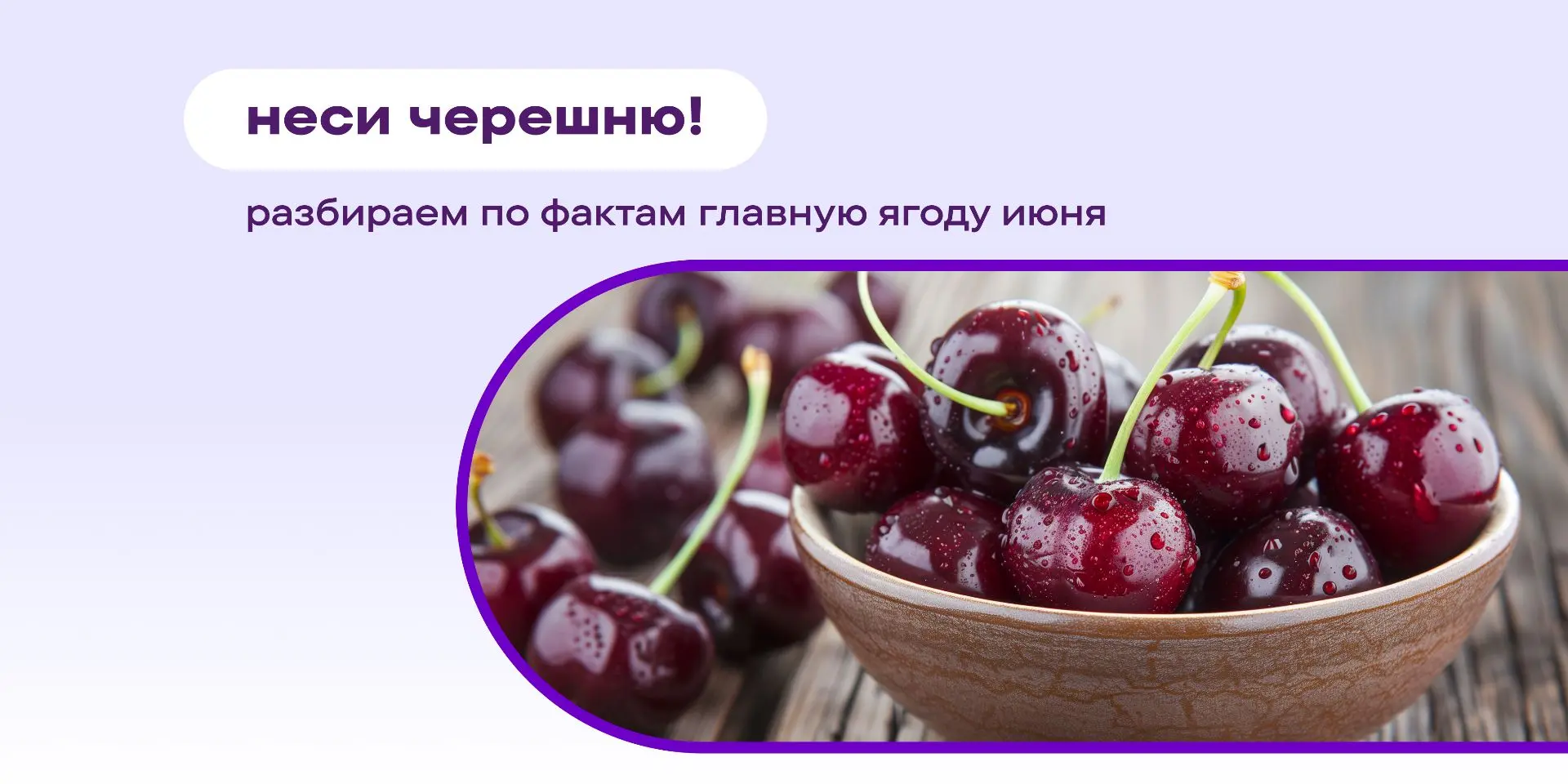 Летом есть два типа людей: те, кто хочет черешню, и те, кто уже переел черешни. Хотя чаще всего это 