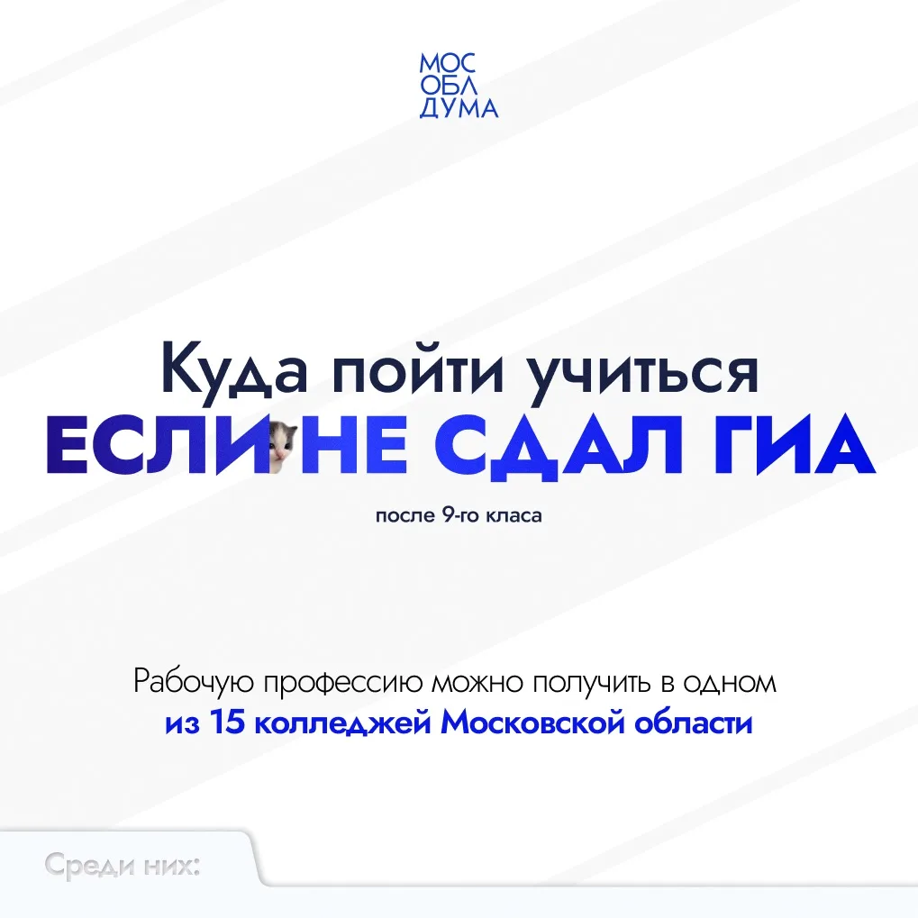 Школьники, не сдавшие ГИА, смогут обучиться рабочим профессиям на базе 15 техникумов По...