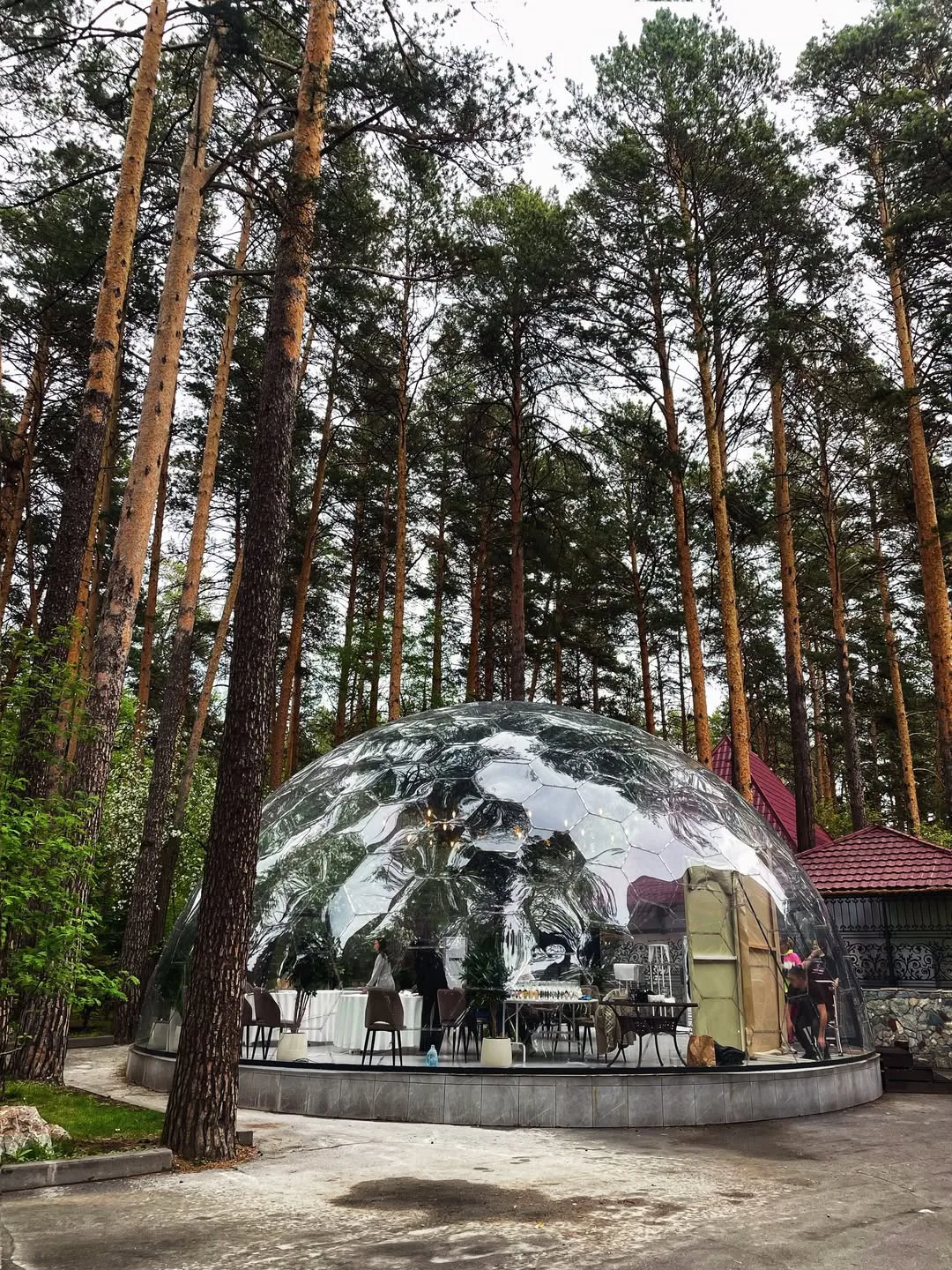 Первая неделя июня пролетела☀️🌲
