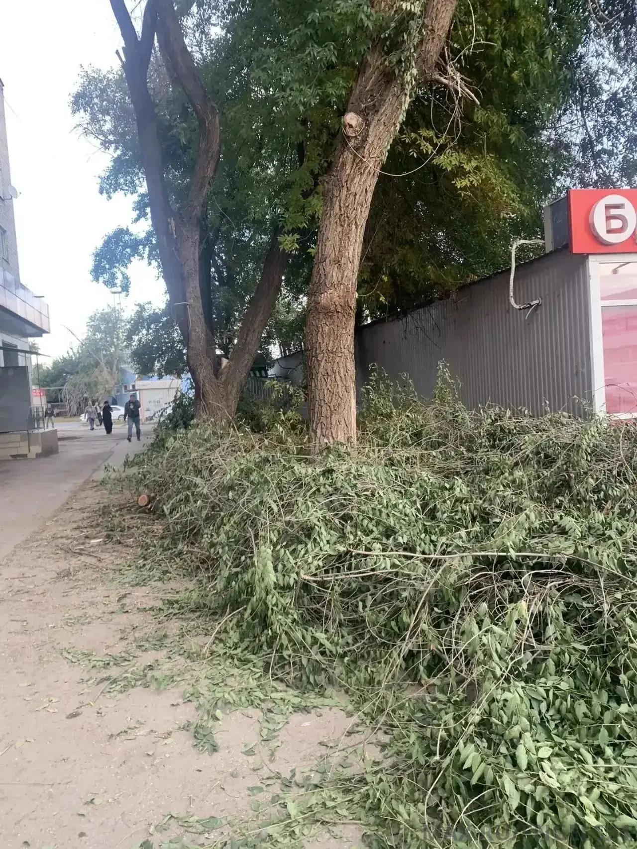 От подписчика: