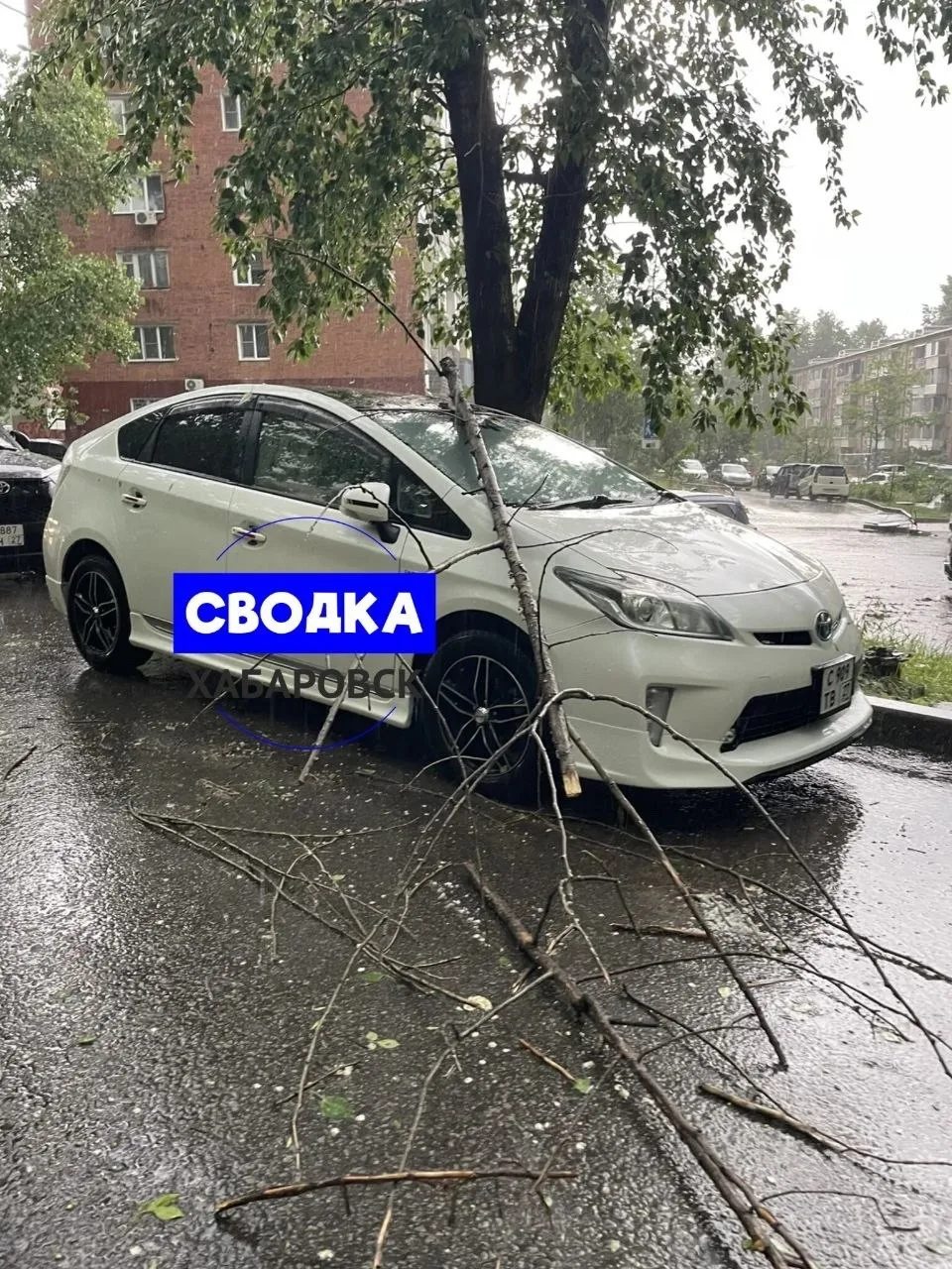 Последствия шторма в Северном

НЕ ЗАБУДЬ ПОДПИСАТЬСЯ ⤵️