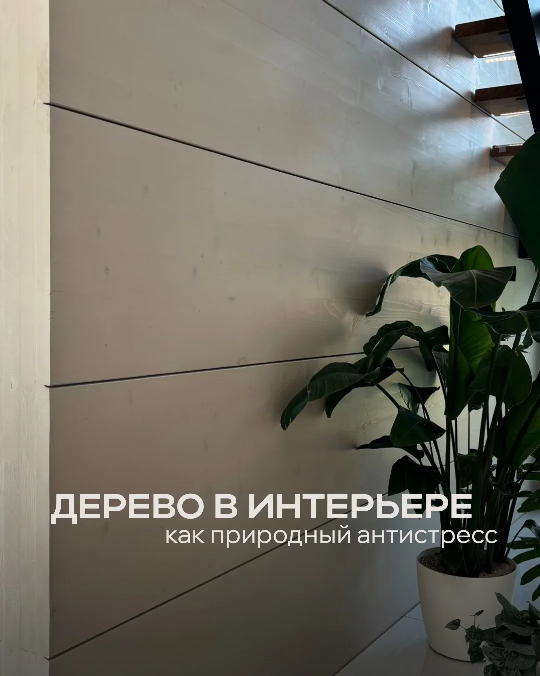 Дерево в интерьере — это не только про эстетику, но и про состояние человека.