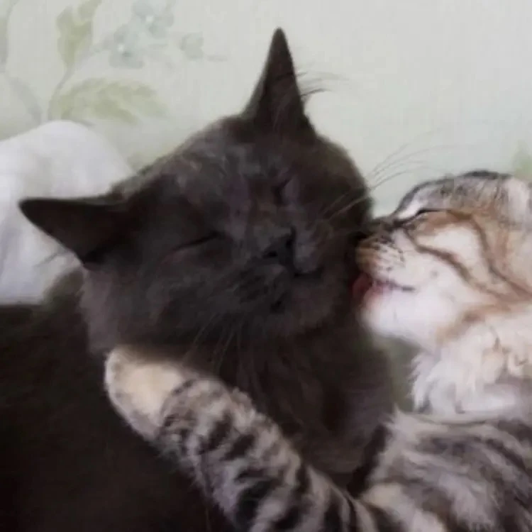 ❤️ - поставим