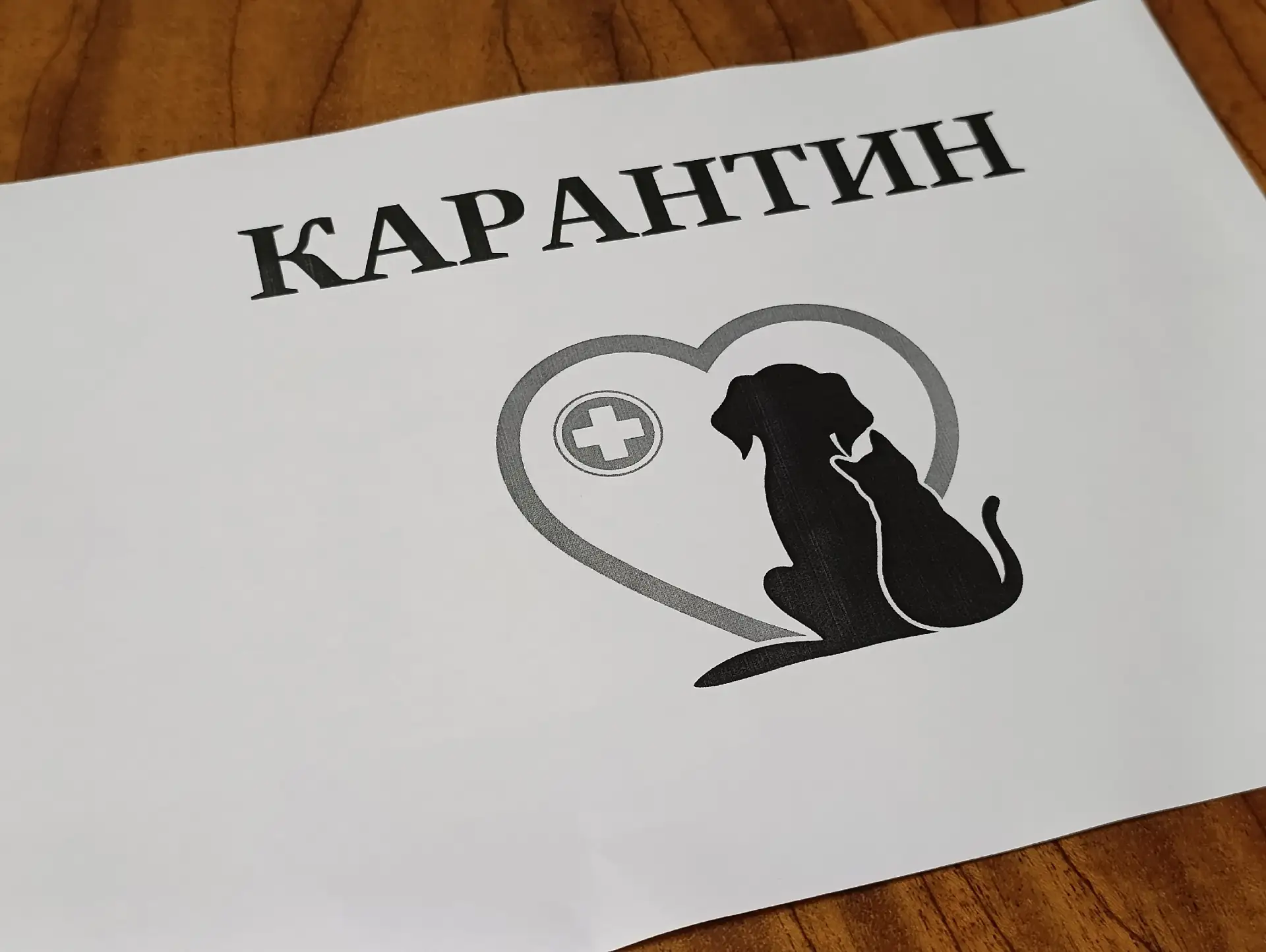 В райцентре введён карантин