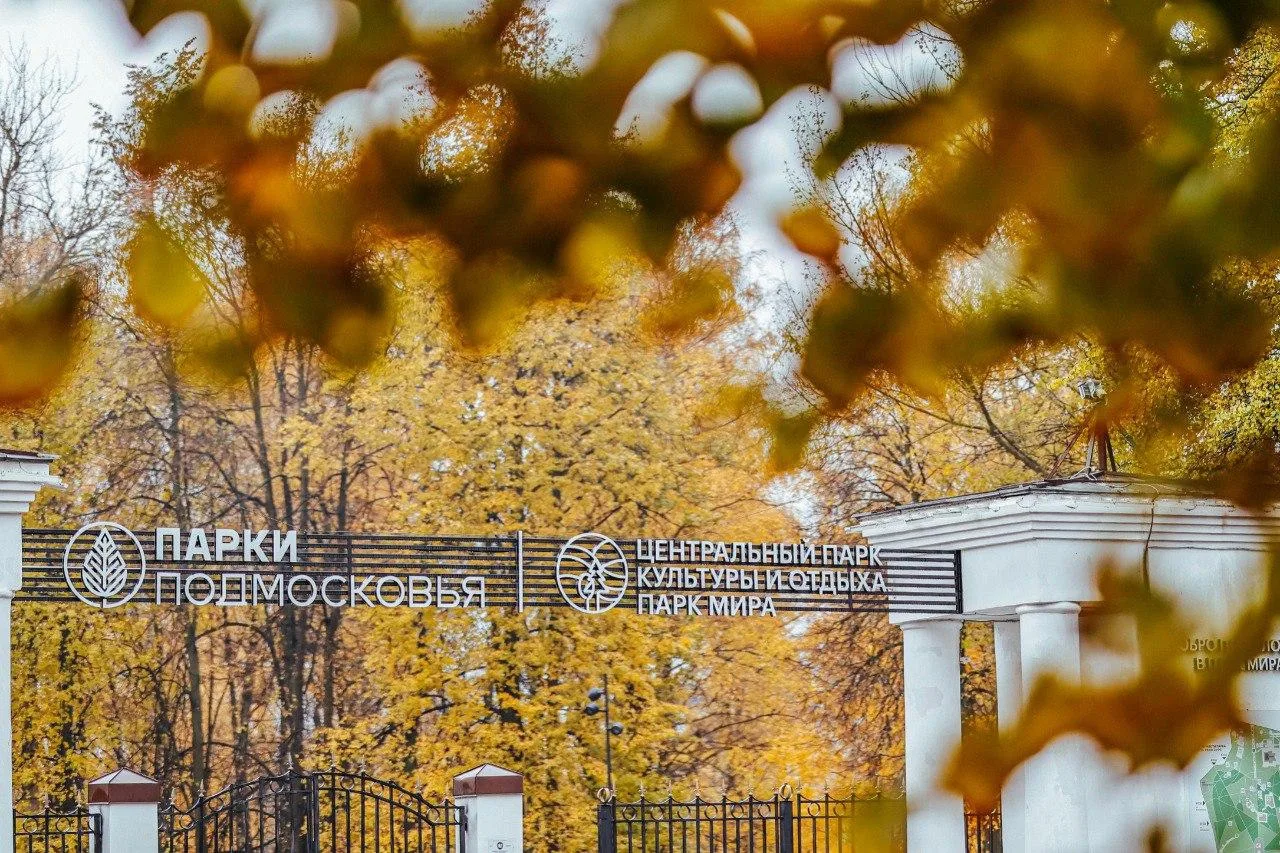 🧡💛 Готовы встречать золотую осень 2026?