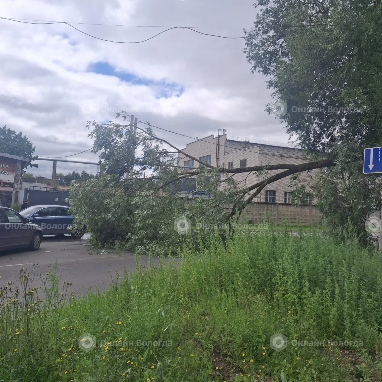 СПАСИБО БОЛЬШОЕ ОПЕРАТОРАМ 112 И БРИГАДЕ КОТОРАЯ УБИРАЕТ ДЕРЕВО С ДОРОГИ, ПРИЕХАЛИ ЧЕРЕ...