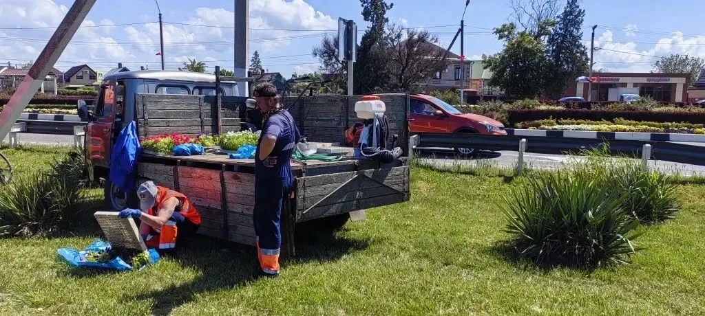 Городские клубы находятся под пристальным вниманием озеленителей.   Они тщательно следят за растения