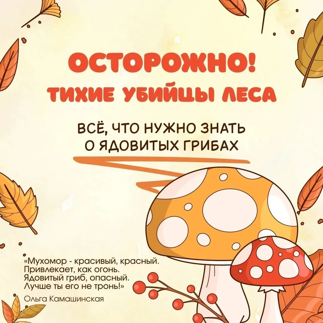 🍄 Осторожно, ядовитые грибы!