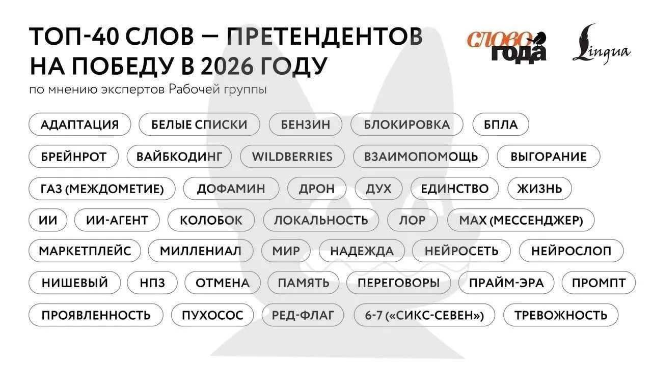 Дагестан залетел в «Слово года — 2026» со своим фирменным словечком «газ»