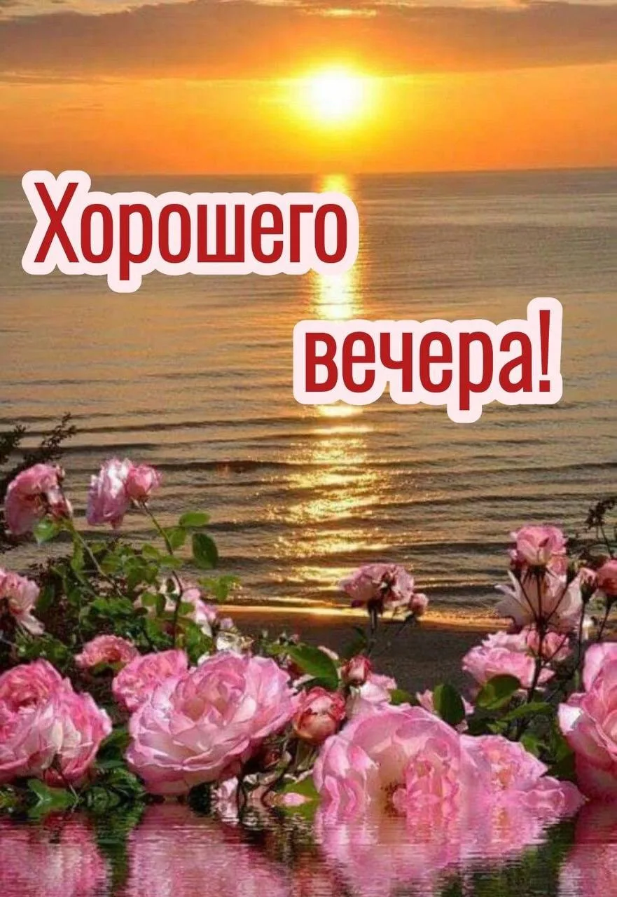 #ДобрыйВечер 🌅
