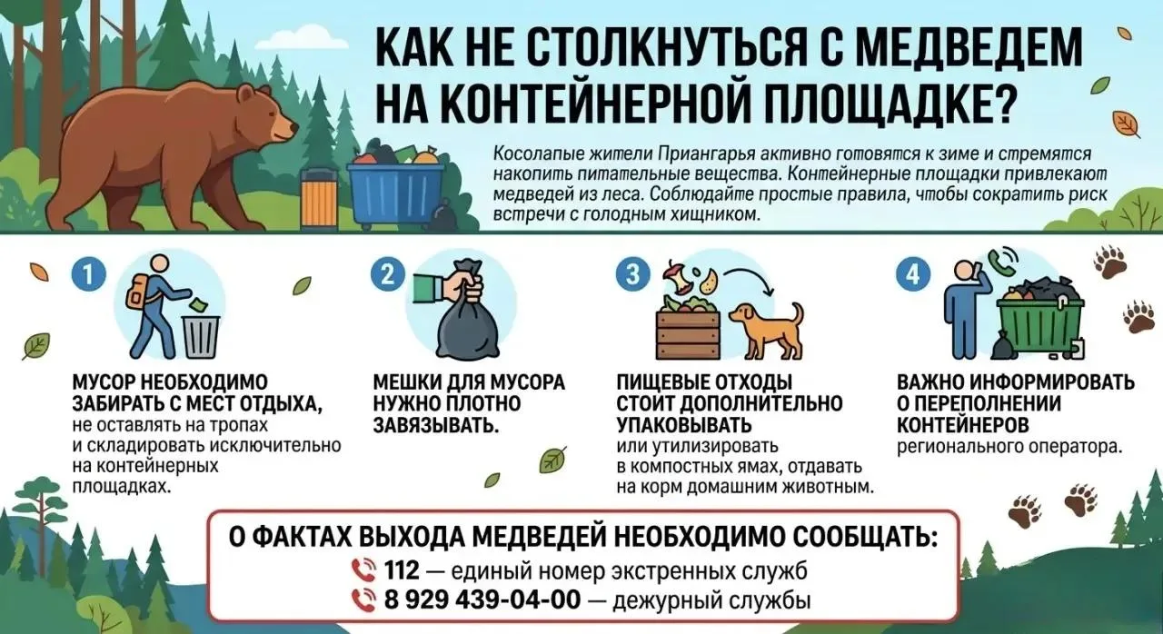 Как не столкнуться с медведем на контейнерной площадке? 🐻