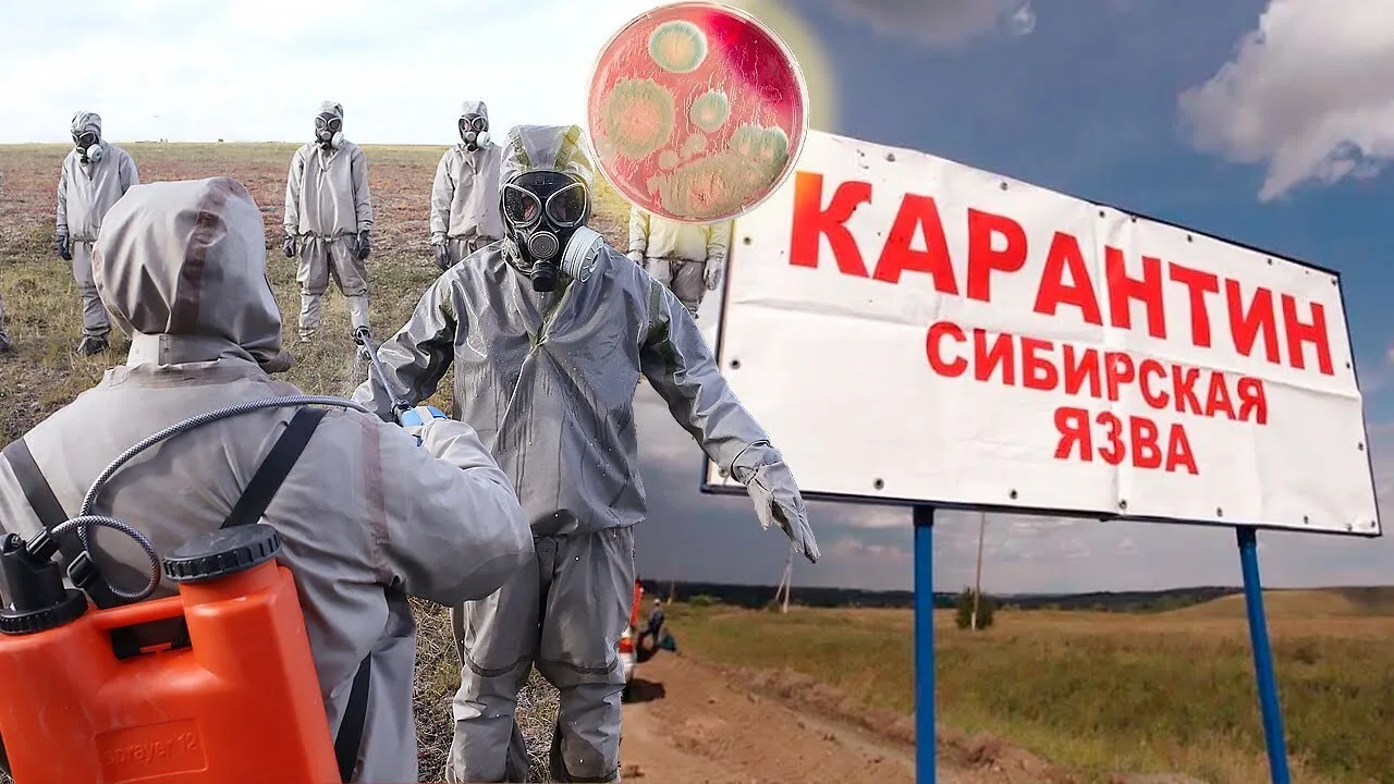 📢 Внимание сибирская язва — особо опасное инфекционное заболевание, угрожающее здоровь...
