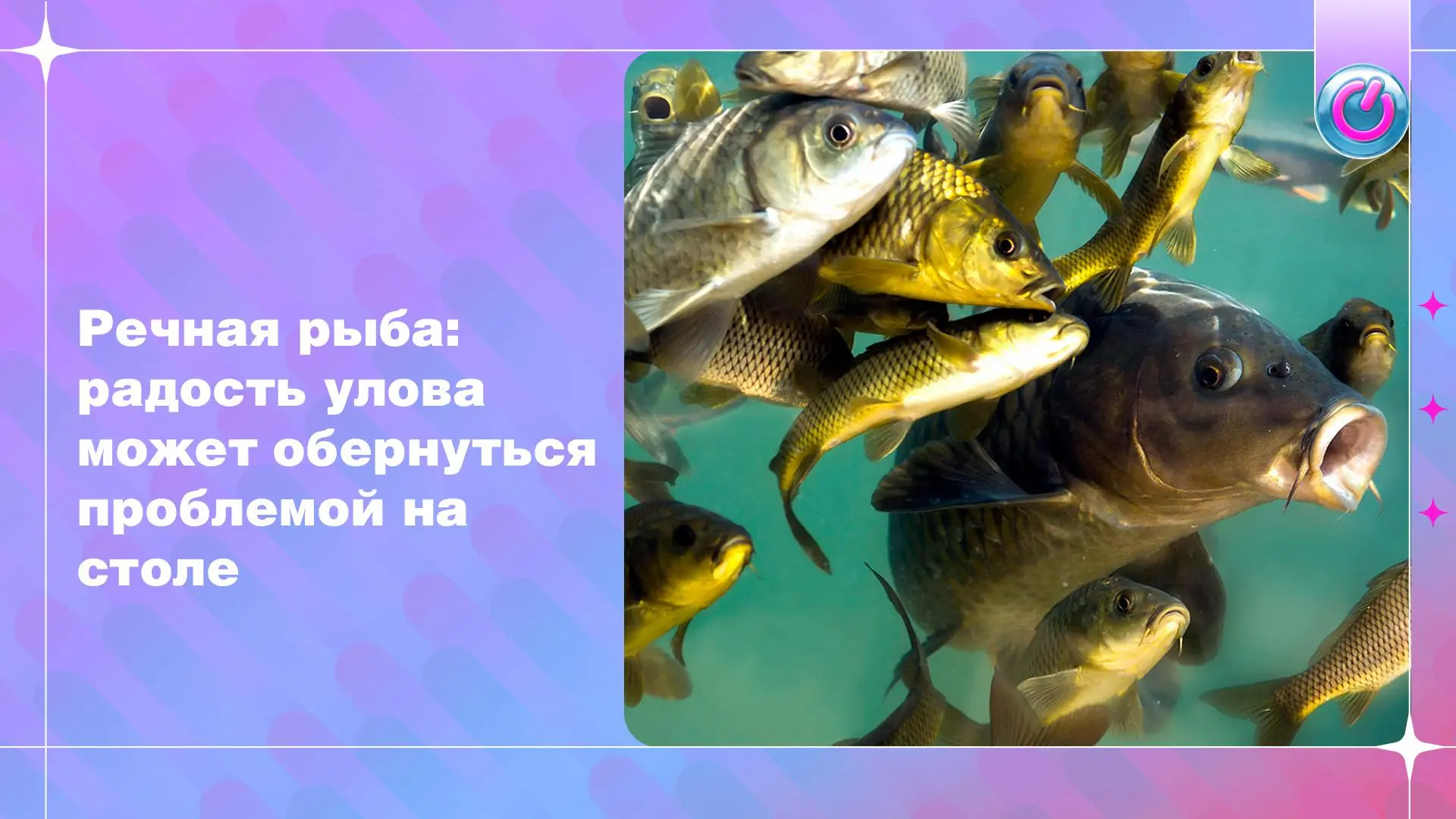 Румяная корочка на жареной рыбе — ещё не гарантия безопасности. Разбираем, как готовить...