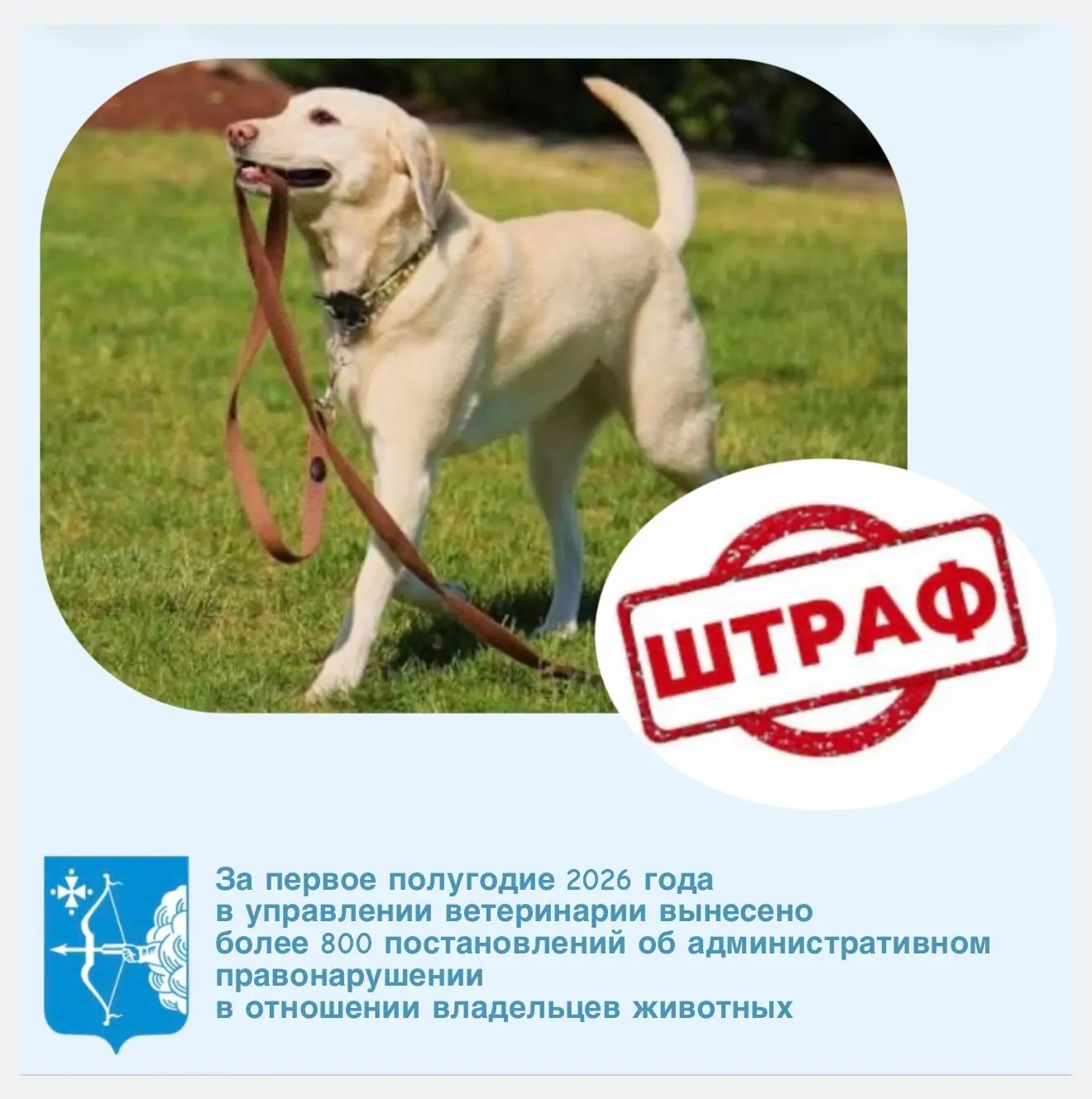 За первые 6 месяцев 2026 года управлением ветеринарии Кировской области вынесено 806 по...