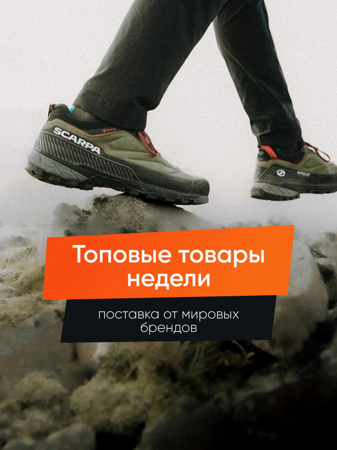 Свежие поступления от топовых брендов уже на сайте и в магазинах. Листайте подборку и выбирайте экип