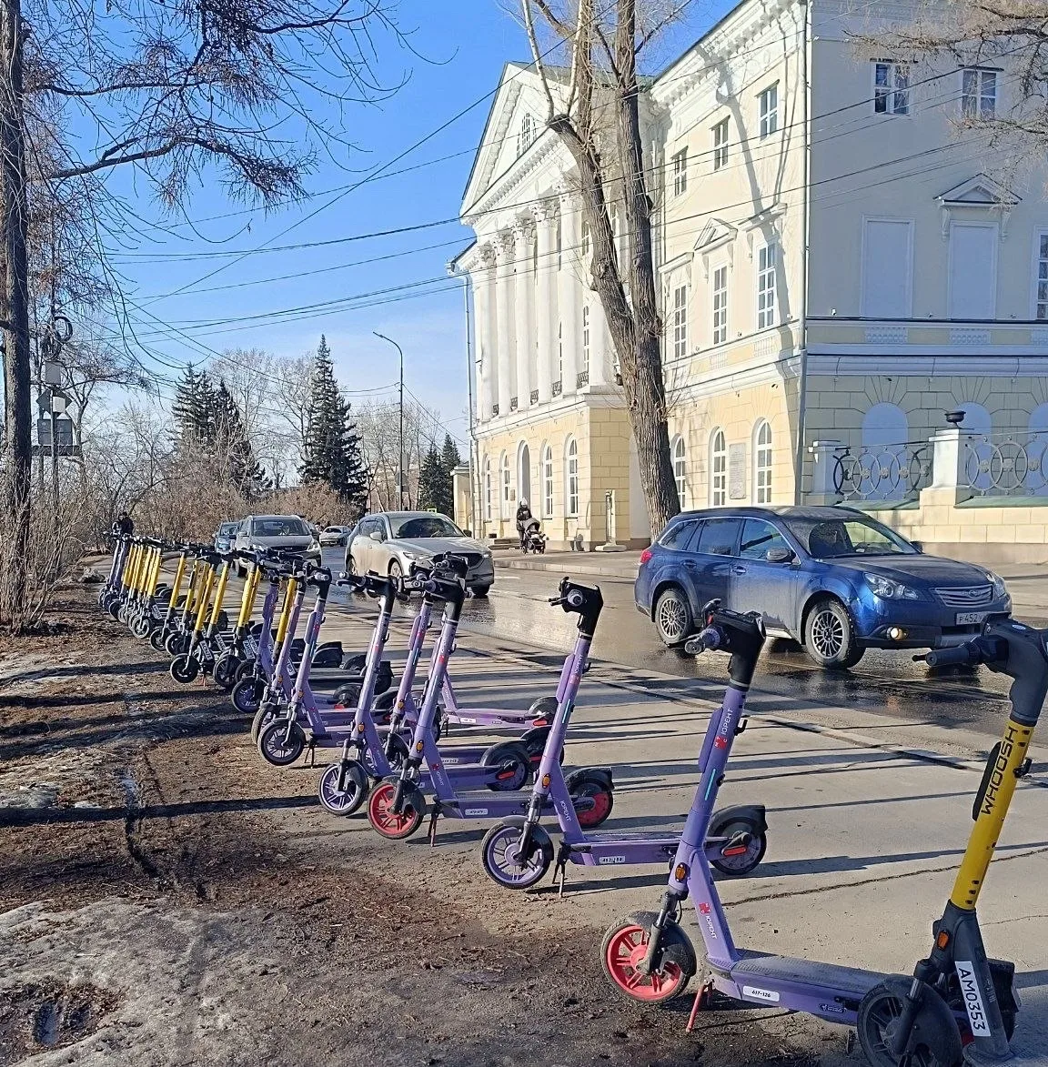 Вот они подснежники!🔥