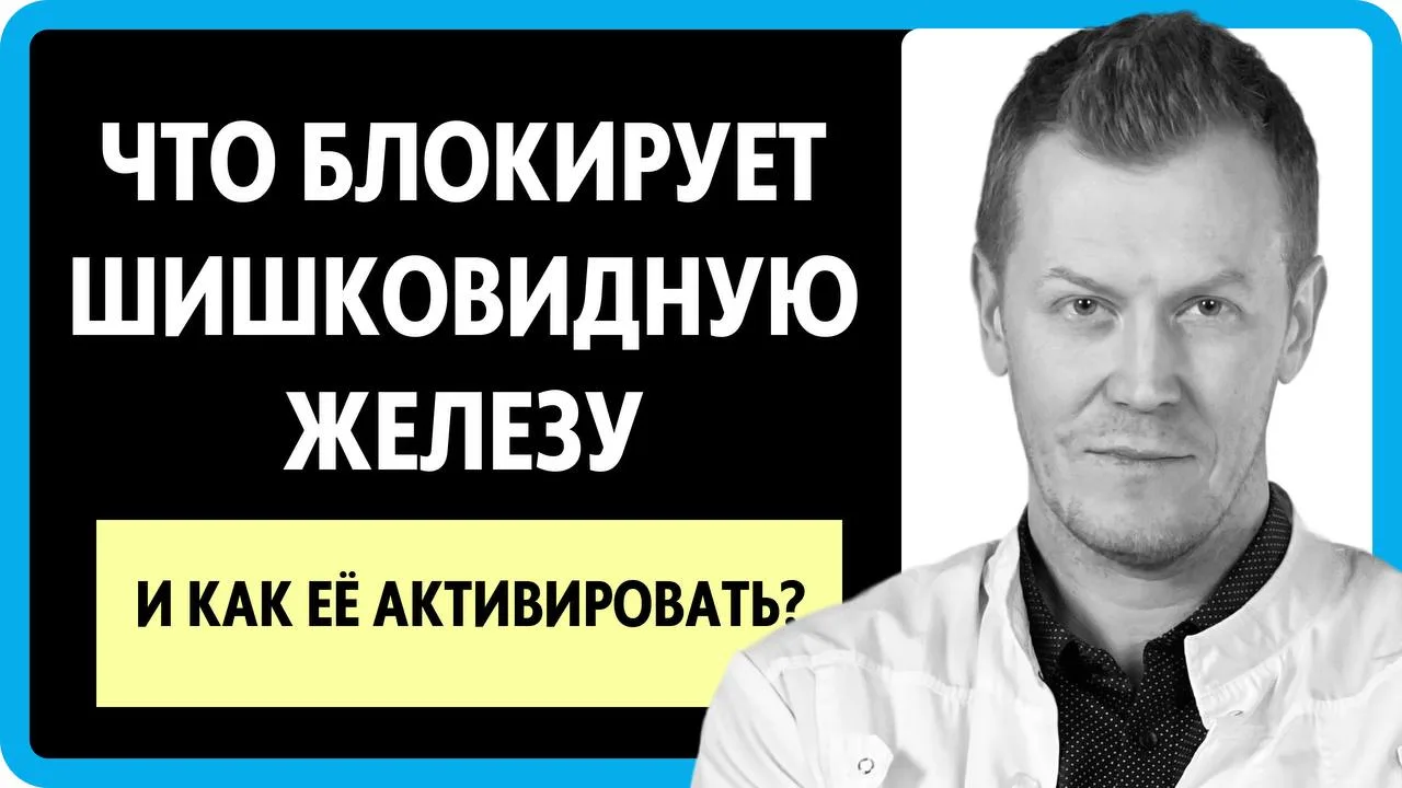 НОВОЕ ВИДЕО УЖЕ НА МОЕМ КАНАЛЕ 🔥

Для тех, кто хочет детально  разобраться в том, какую роль играет