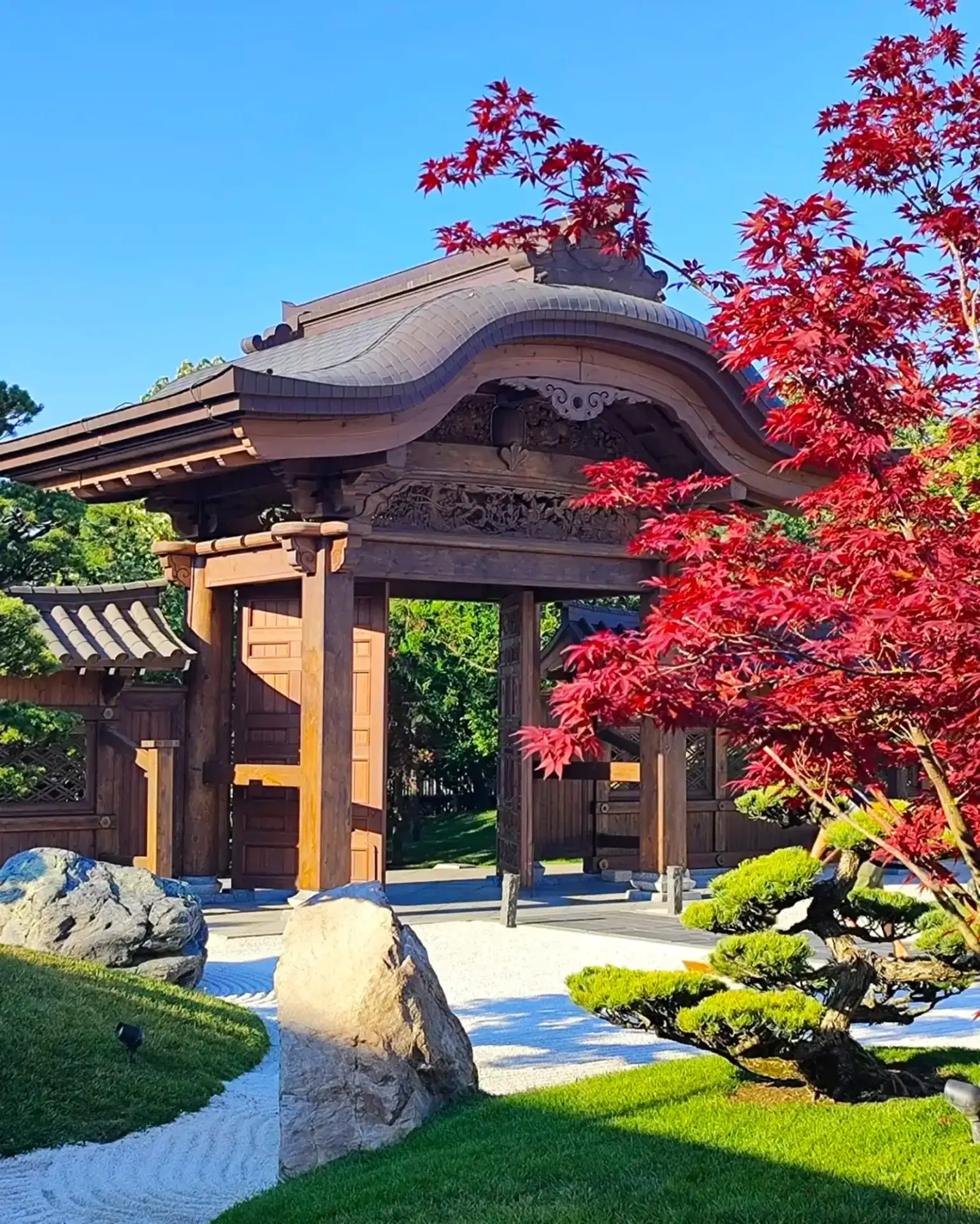 Настроение Японского сада сегодня 🎎⛩️ Жарко ☀️