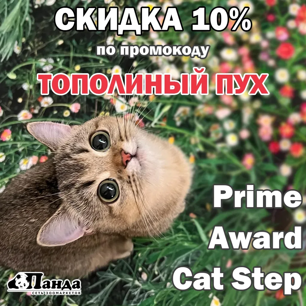 ☀️ Сегодня последний день июльского промокода!
