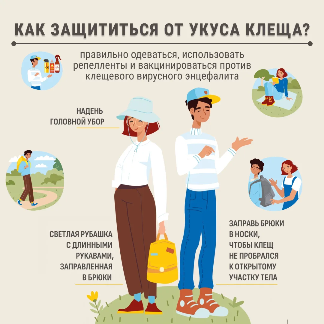 Защитит от клещей - правильная одежда 🕷️