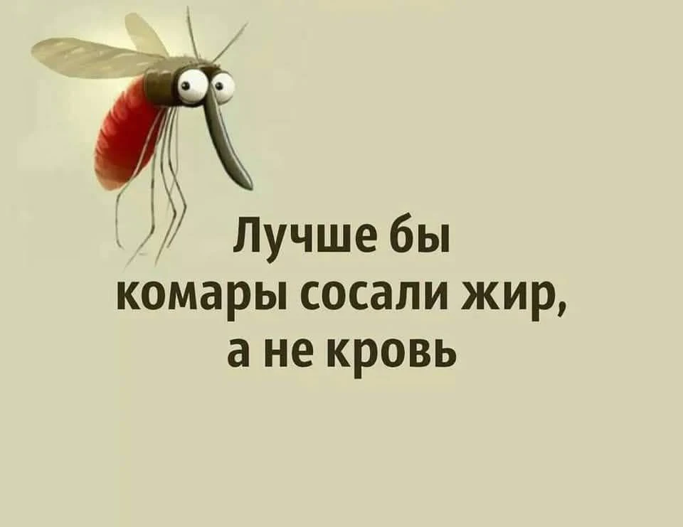 Изображение 1 к публикации «Нутрициолог Бекетова Екатерина»