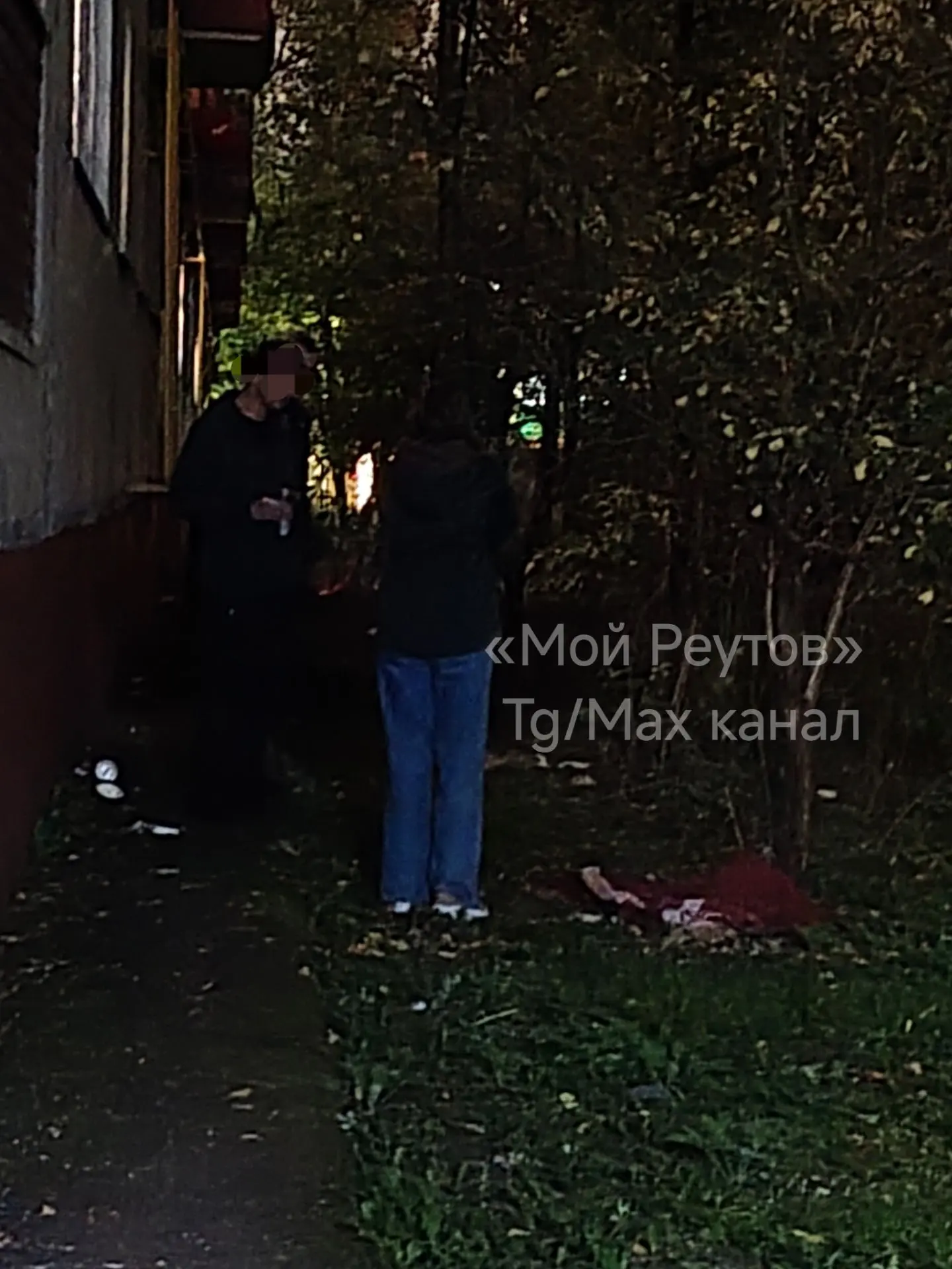‼️ По словам хозяйки, прибывшей на место происшествия, собака выпрыгнула самостоятельно.