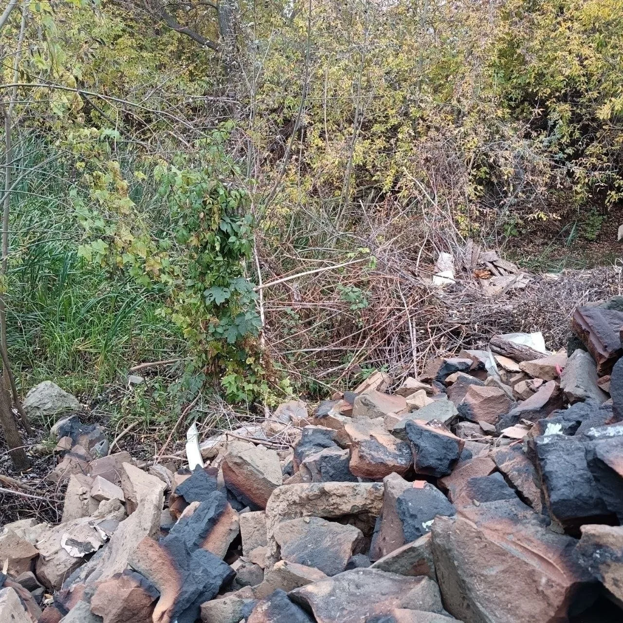 🏞 Берег озера Глушица в Жуковском снова заваливают строймусором