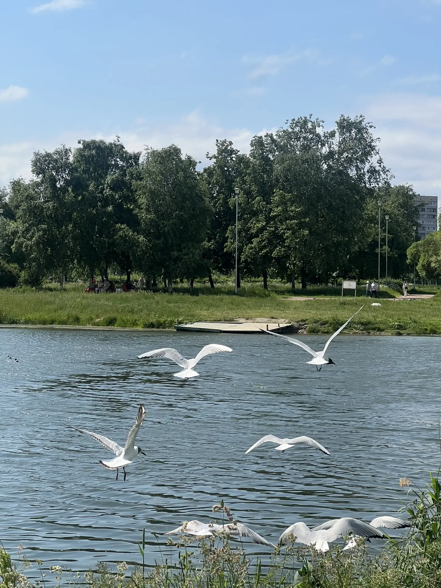 Доброе утро!