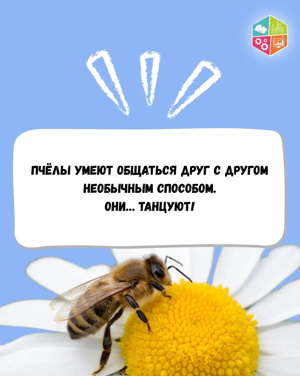 💃Представьте, если бы вместо слов люди общались танцами…

🐝Оказывается, в природе такой способ общ
