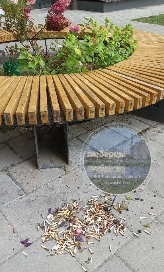 На Озёрной 2 кто-то регулярно скидывает свои бычки в лавочку
