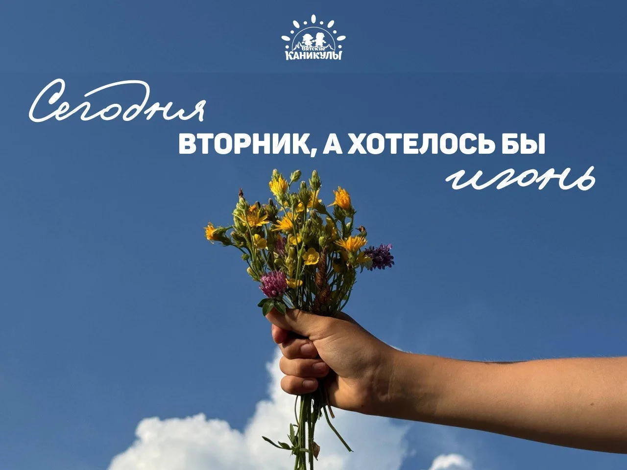 ☀️ Сегодня вторник, а хотелось бы июнь