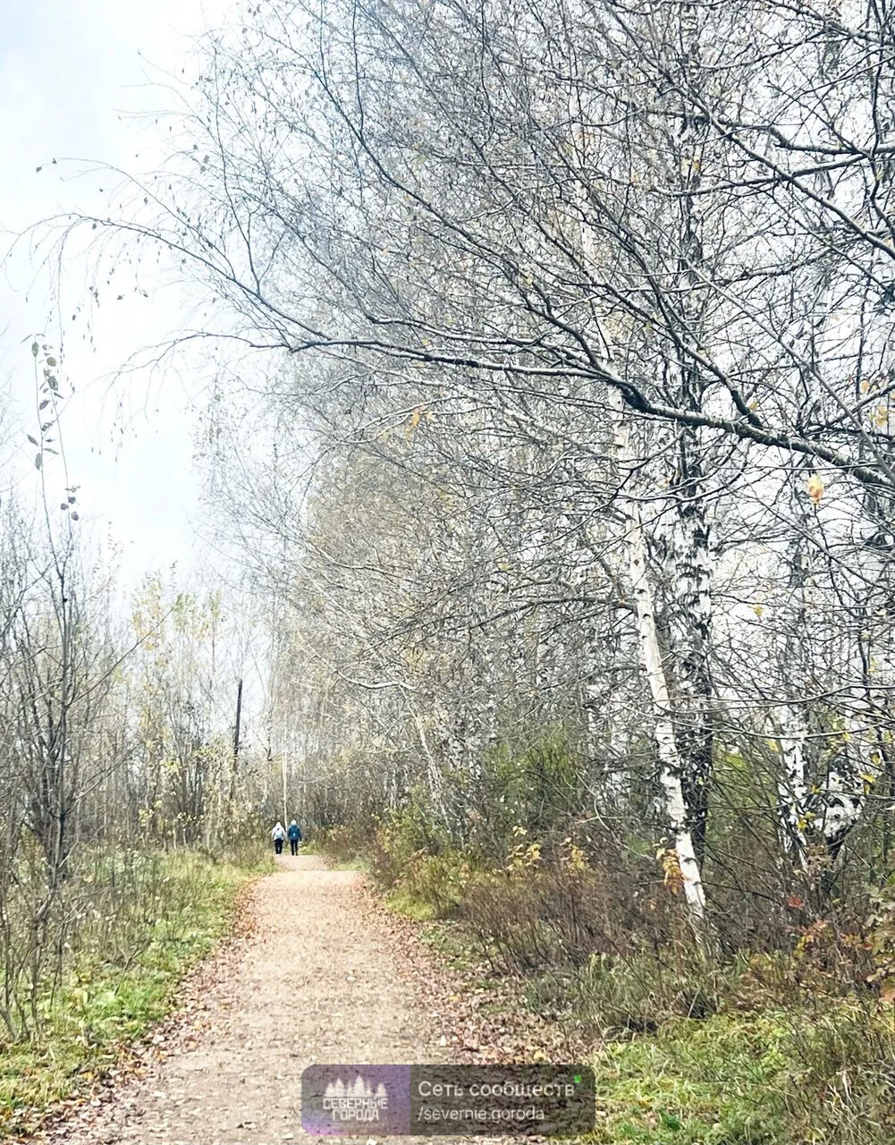 Подслушано Невьянск